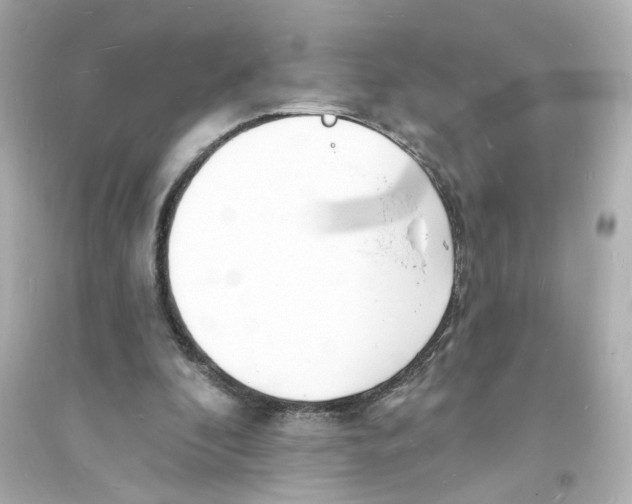 X0000093600296200711121155