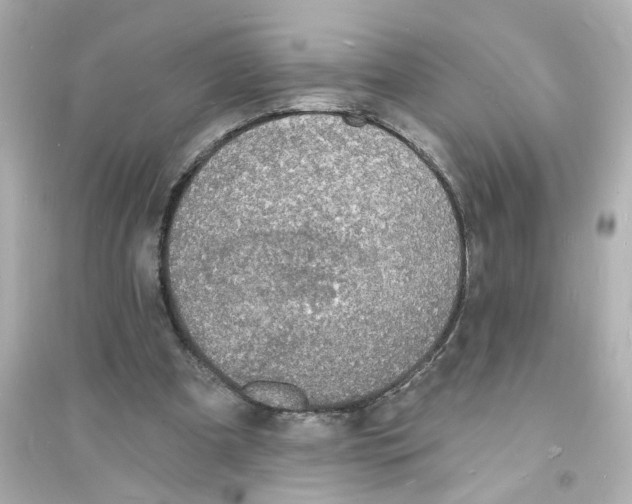 X0000093600297200711121155