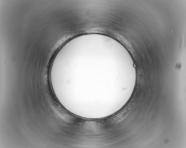 X0000093600298200711121155