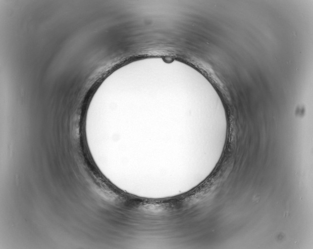 X0000093600299200711121155