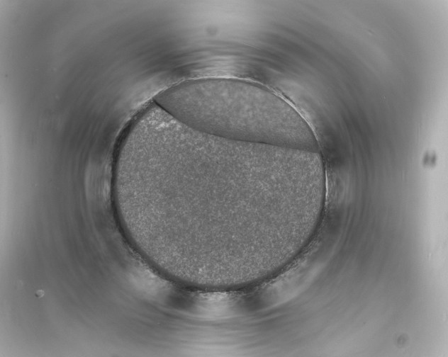 X0000093600301200711121155