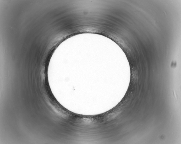 X0000093600302200711121155