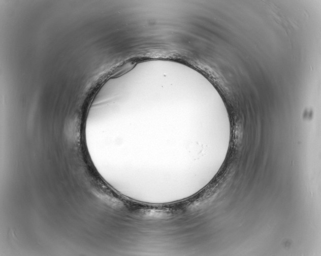 X0000093600303200711121155