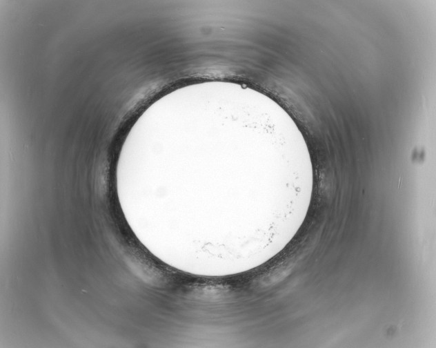 X0000093600304200711121155