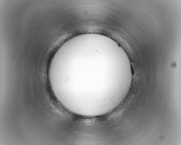 X0000093600306200711121155