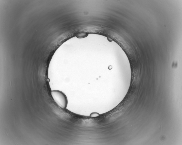 X0000093600309200711121155