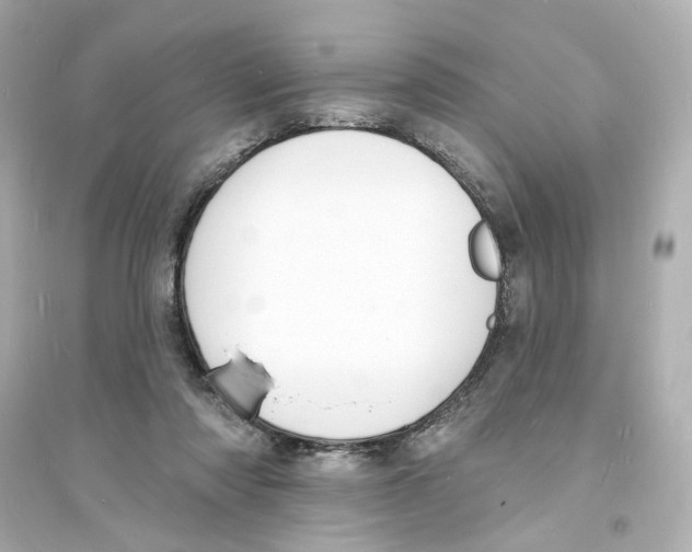 X0000093600310200711121155