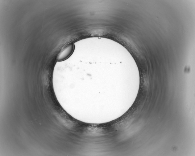 X0000093600311200711121155