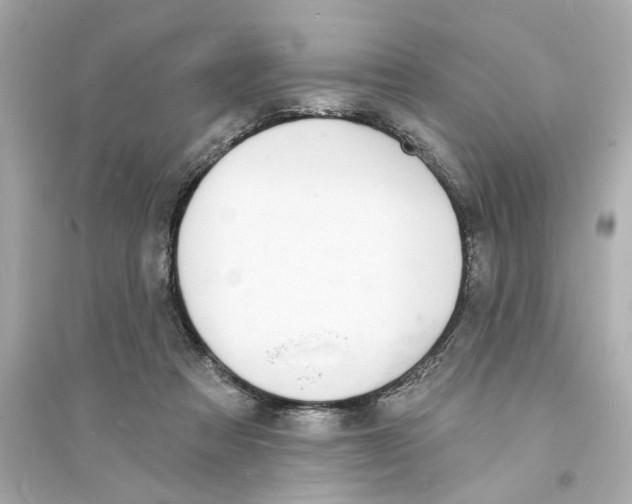 X0000093600313200711121154