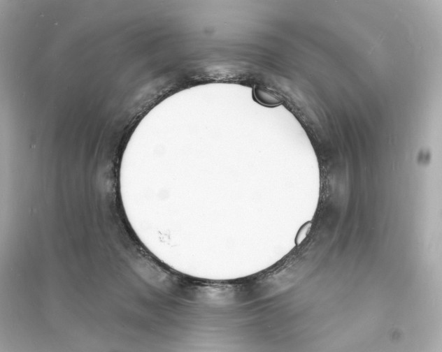 X0000093600317200711121154