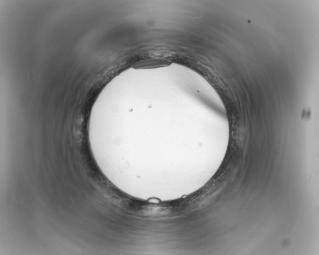 X0000093600319200711121154