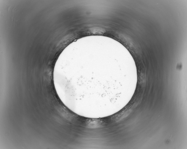 X0000093600321200711121154