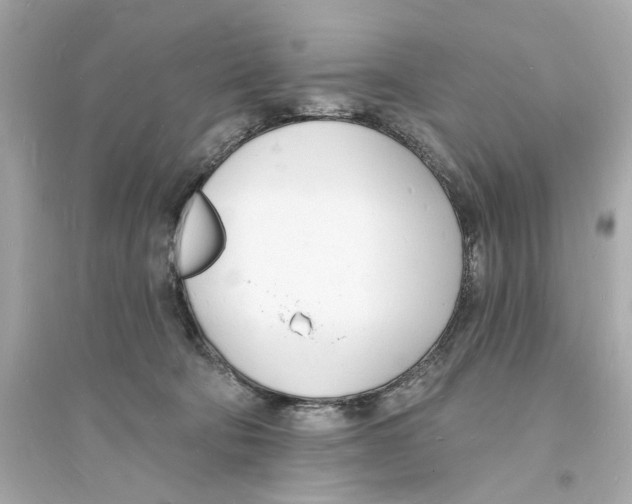 X0000093600322200711121154