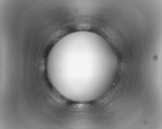 X0000093600323200711121154