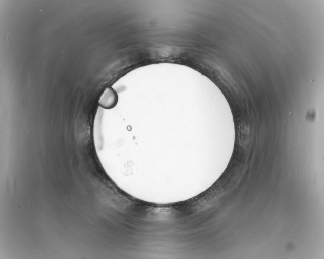 X0000093600324200711121154