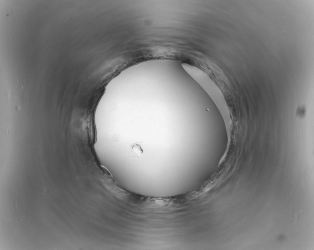 X0000093600329200711121154