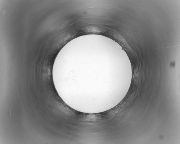 X0000093600330200711121154