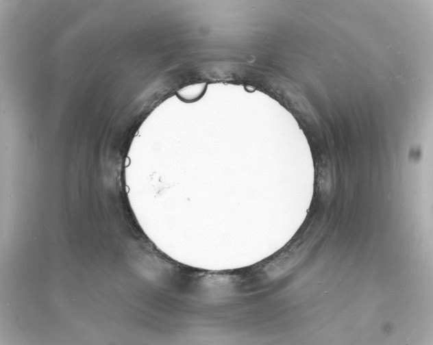 X0000093600332200711121154