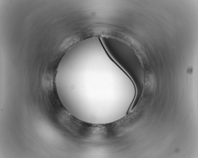 X0000093600333200711121154