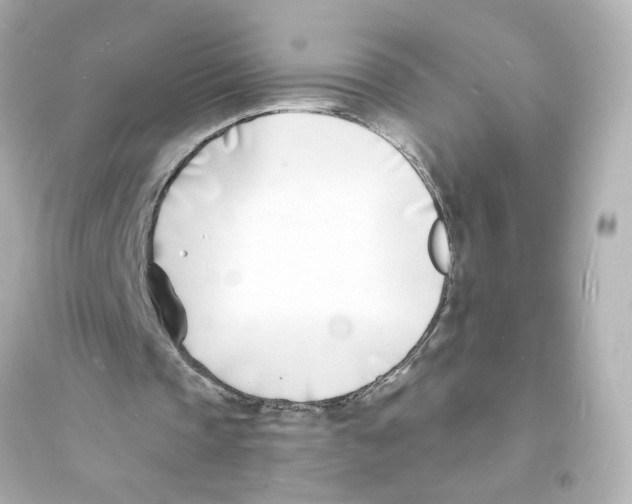 X0000093600337200711121154