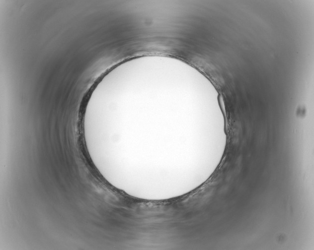 X0000093600338200711121154