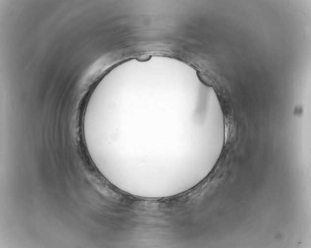 X0000093600339200711121154