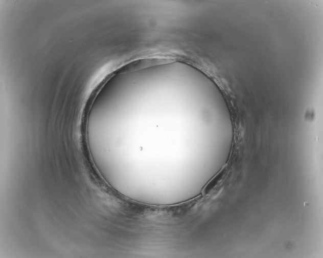 X0000093600340200711121154