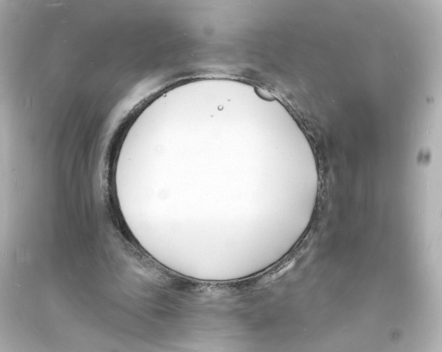 X0000093600343200711121154