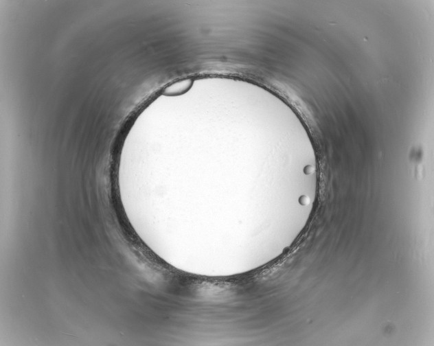 X0000093600346200711121154