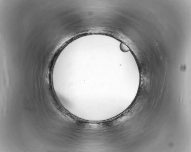 X0000093600347200711121154