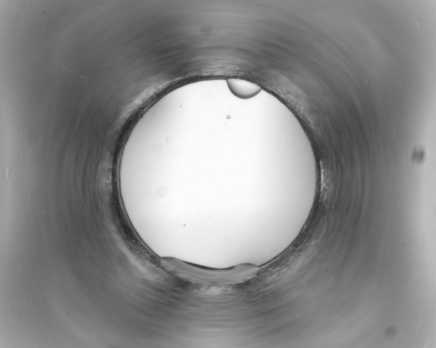 X0000093600348200711121154