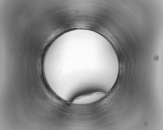 X0000093600349200711121154