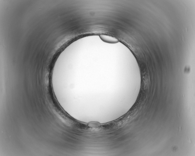 X0000093600350200711121154