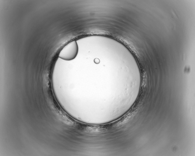 X0000093600351200711121154