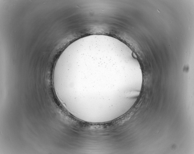 X0000093600353200711121154