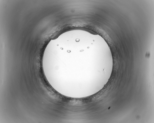 X0000093600354200711121154