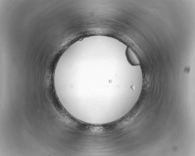 X0000093600355200711121154