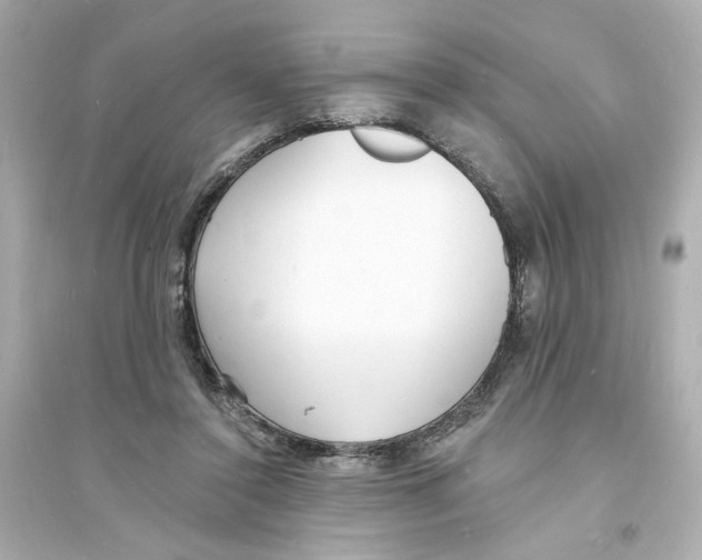 X0000093600356200711121154