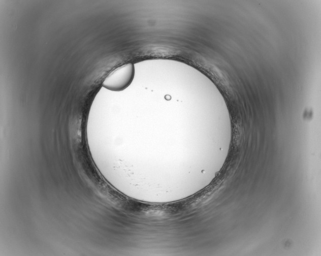 X0000093600358200711121154