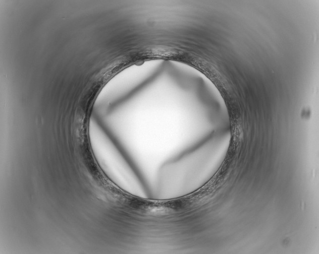 X0000093600360200711121154