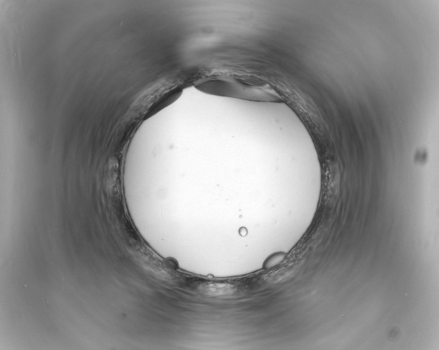 X0000093600361200711121154