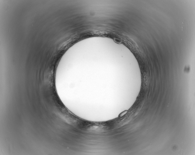 X0000093600364200711121154