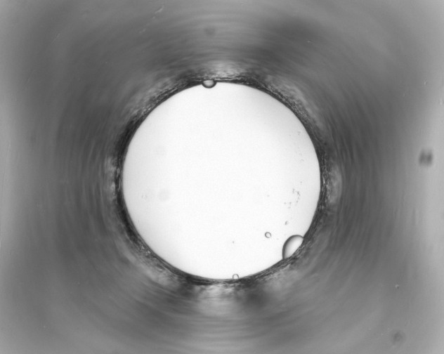 X0000093600366200711121154