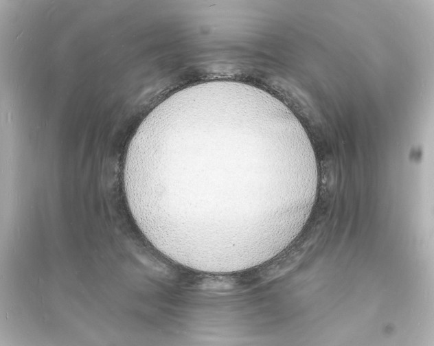 X0000093600369200711121154