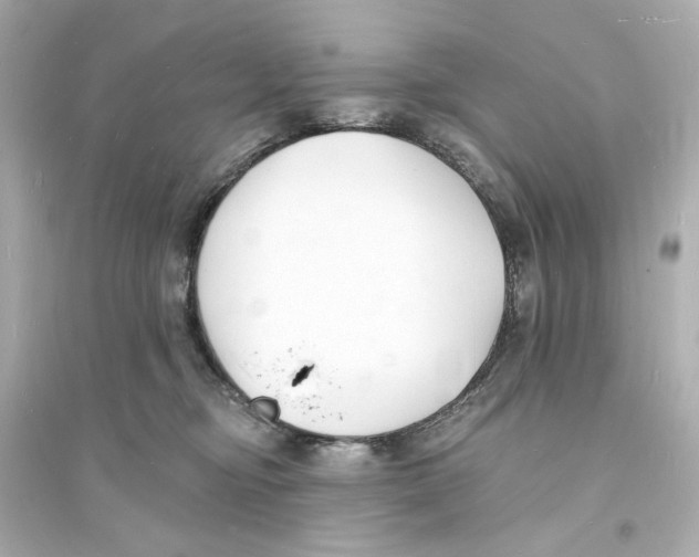 X0000093600374200711121154