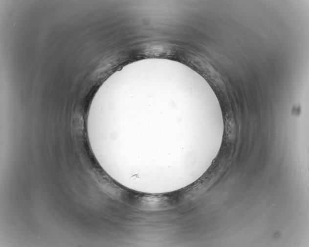 X0000093600375200711121154