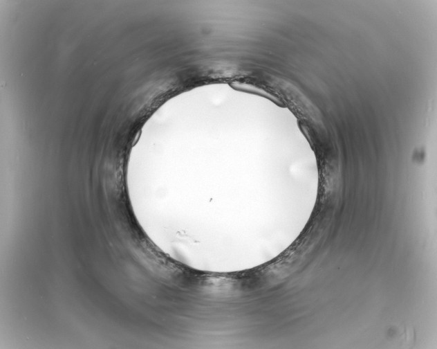 X0000093600376200711121154