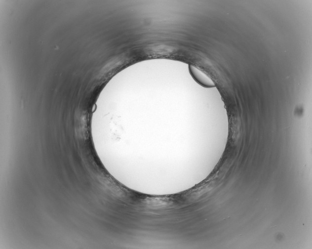 X0000093600378200711121154