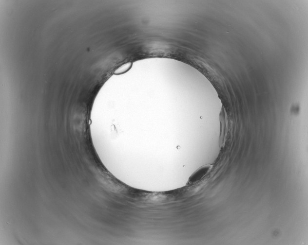 X0000093600379200711121154