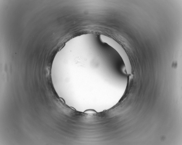 X0000093600382200711121154